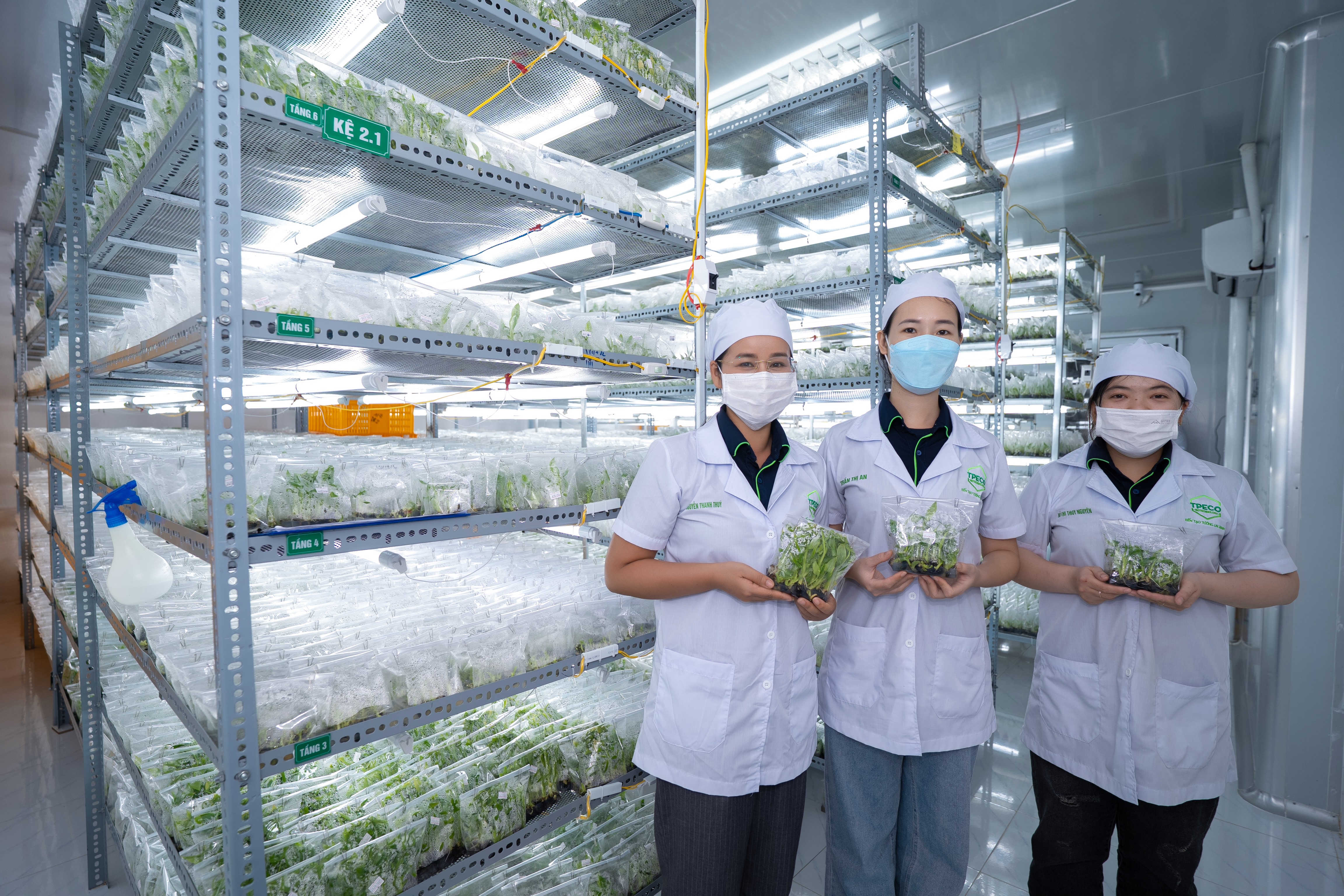 Anh dai dien tin tuc